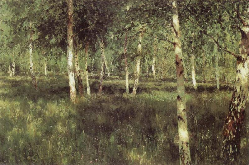 Isaac Levitan Birch Plantation oil painting picture